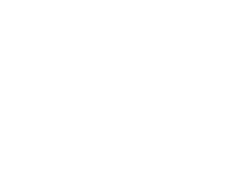 Dent Car Logo